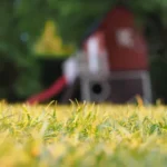 Boise’s Climate Makes Pest Control a Year-Round Priority