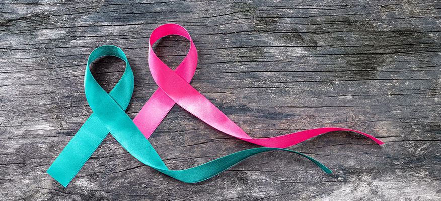 Breast and Cervical Cancer