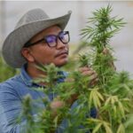 Navigating the World of Cannabis: Tips for Picking a Dispensary