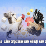 Hitclub Cockfighting