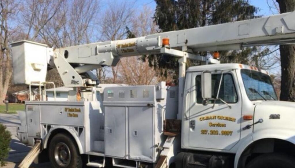 Homeowners Can Prepare Trees for Harsh Midwest Winters