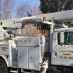 Homeowners Can Prepare Trees for Harsh Midwest Winters