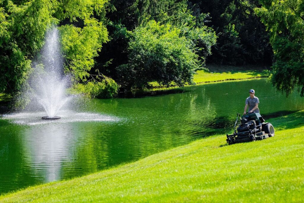 Professional Landscape Design for Your Property