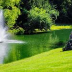 Professional Landscape Design for Your Property