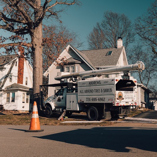 Tree Regulations and Permits in New Castle, PA