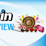 Review of the 1Win Bookmaker