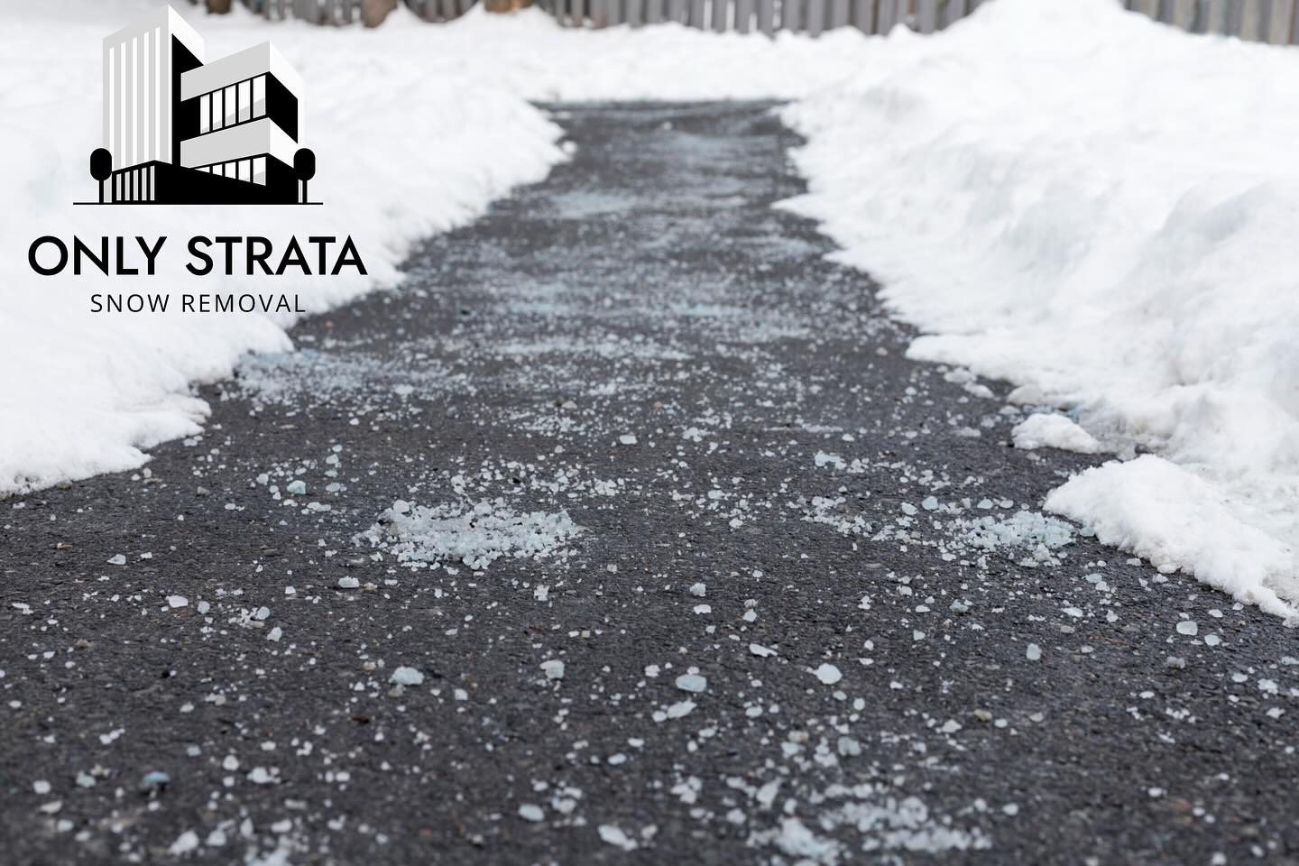 Surrey BC Strata Leaders