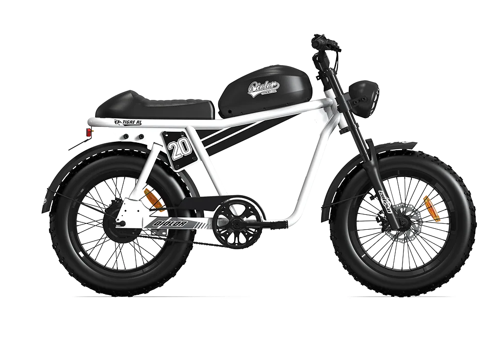 How to Fix a Flat on a Fat Tire Electric Bike Without Stress