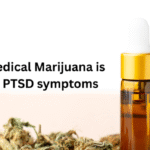 How Medical Marijuana is easing PTSD symptoms