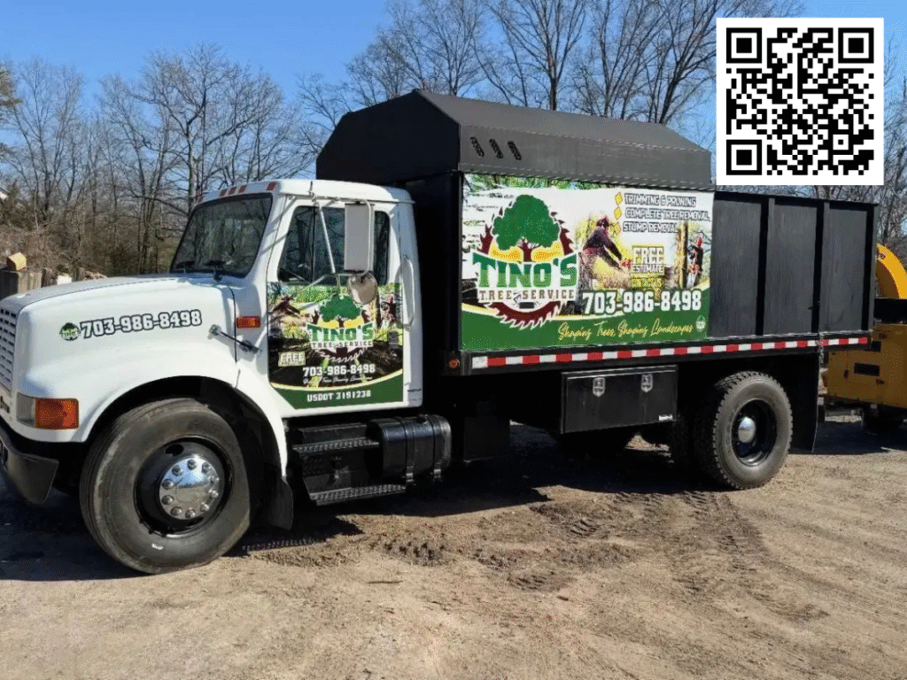 Tree Safety and Permit Guidelines in Woodbridge, VA