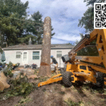 Kalamazoo Homeowners