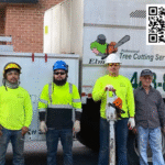 Elmer's Tree Service