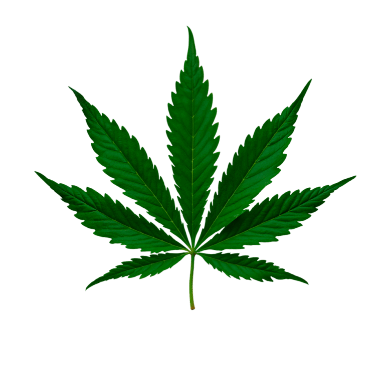 Swapping Alcohol for Cannabis