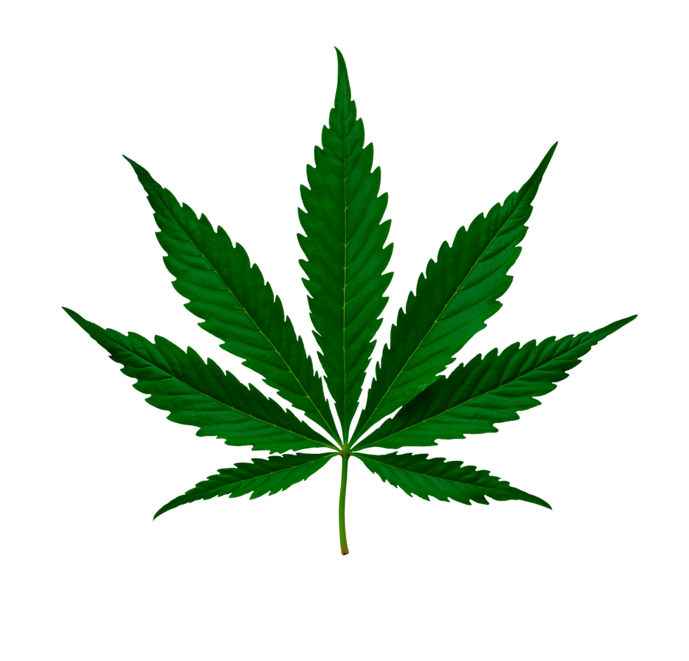 Swapping Alcohol for Cannabis