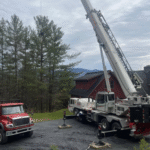 Tree Removal in Burlington