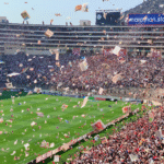 How the Modern Online Betting Platform Redefined Sports Fandom