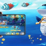 PH33 Fish Shooting