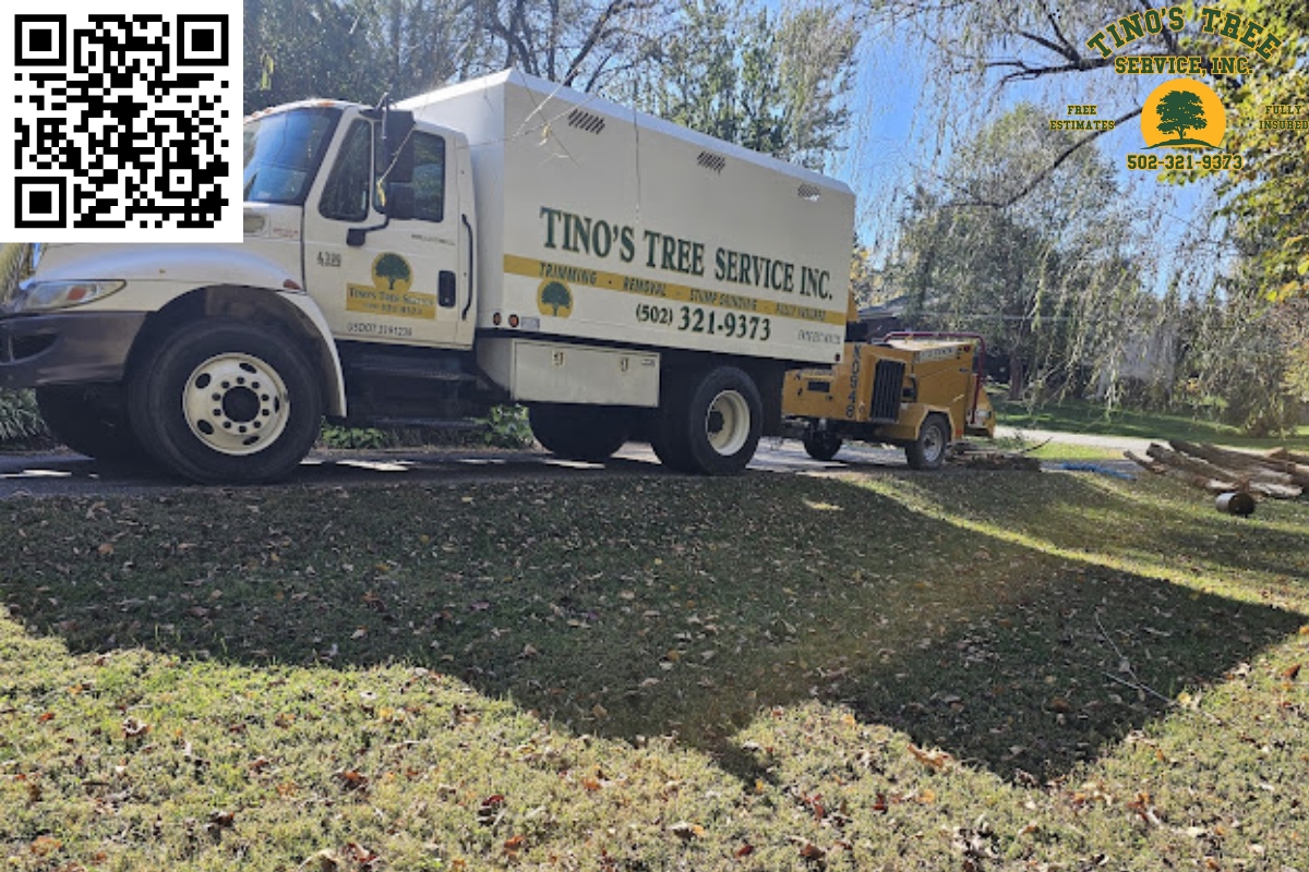 A Greener Louisville Ahead
