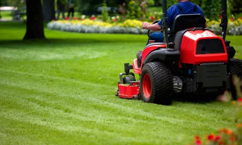 Lawn Care Service