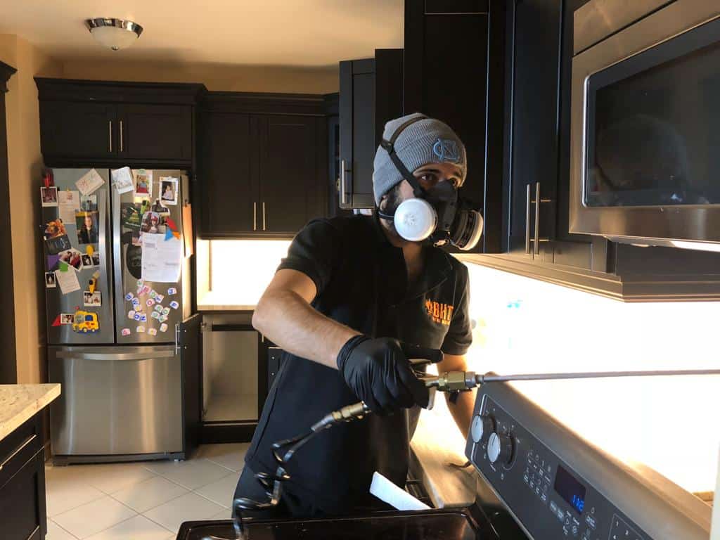 What Certifications and Safety Measures Make AR Pest Control the Go-To Choice for Pest Control in Vaughan and the GTA?