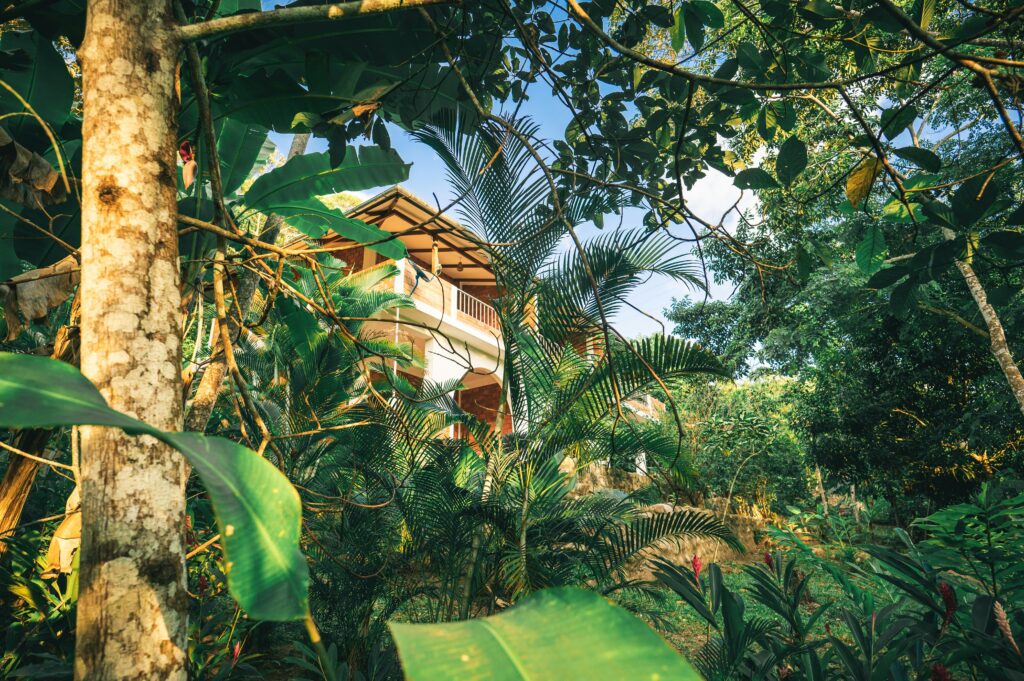 Narra Residences Santarli A Vibrant, Family-Friendly Community for Generations to Come