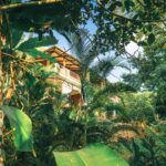 Narra Residences Santarli A Vibrant, Family-Friendly Community for Generations to Come