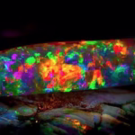Black Opal