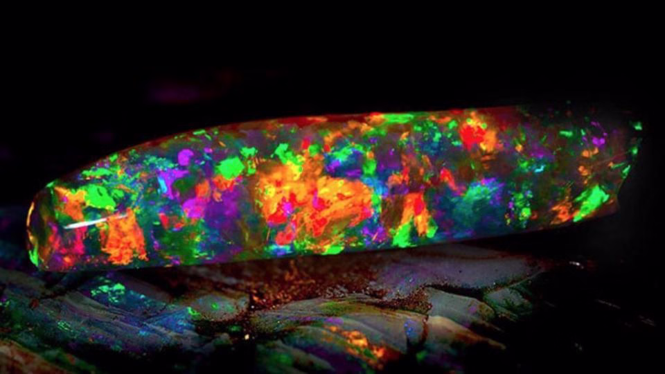 Black Opal