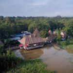 Journey into Healing: The Power of Shaman Louis and Ayahuasca Retreats in Ecuador