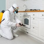 Pest Control Get Rid of Mosquitoes