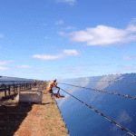 Go-To Choice for Hope Island