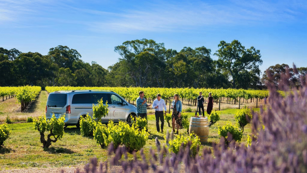 Barossa Wine Tours