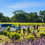 Barossa Wine Tours