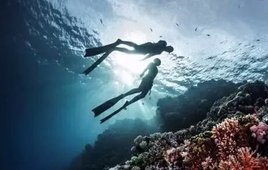 Scuba Diving Equipment Suppliers