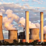 Vikki Nicolai La Crosse’s Tips For Smart Recycling Practices To Drive Business Growth