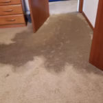 Flooded Carpets