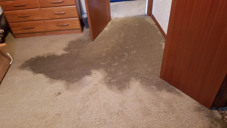 Flooded Carpets