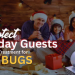 Protect Holiday Guests With Heat Treatment for Bed Bugs