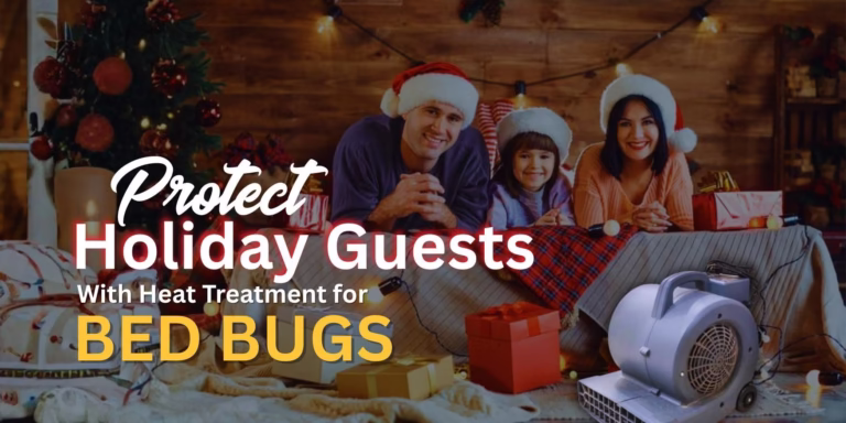 Protect Holiday Guests With Heat Treatment for Bed Bugs