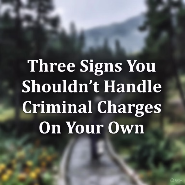 Three Signs You Shouldn’t Handle Criminal Charges On Your Own