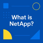 What is NetApp