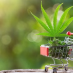 E-Commerce Store for CBD Products