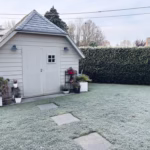 You Don’t Need a Perfect Lawn. You Just Need to Stop Ignoring It Until April