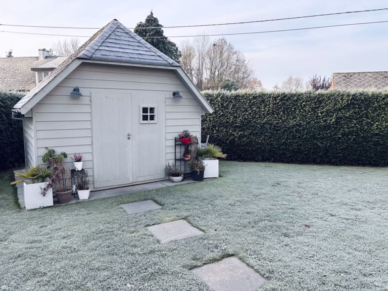 You Don’t Need a Perfect Lawn. You Just Need to Stop Ignoring It Until April