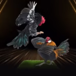 Vmax online cockfighting