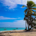 Best Things To Do In Punta Cana For An Unforgettable Trip