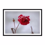 How to select the Ideal Wall Art Size for a Space