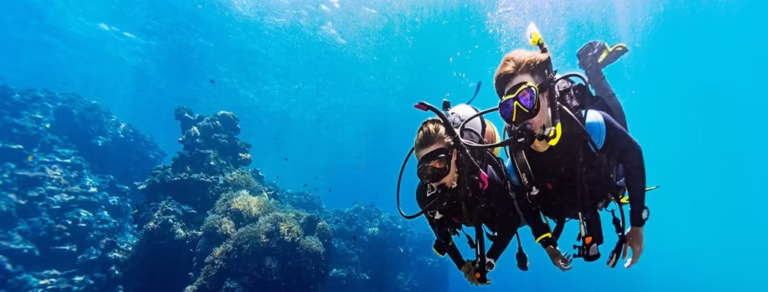 Dive Knives