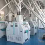 Maize Processing Equipment