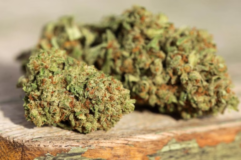 Sativa Strains